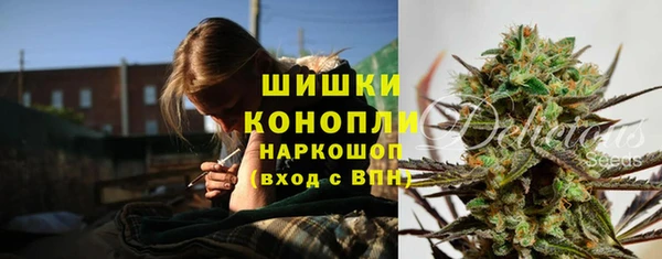 spice Надым